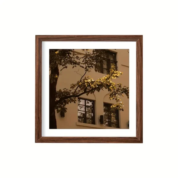 Frames - Image 5