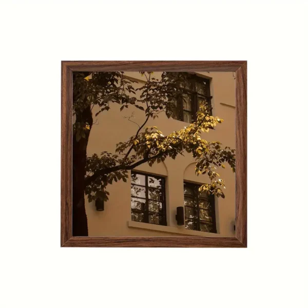 Frames - Image 4